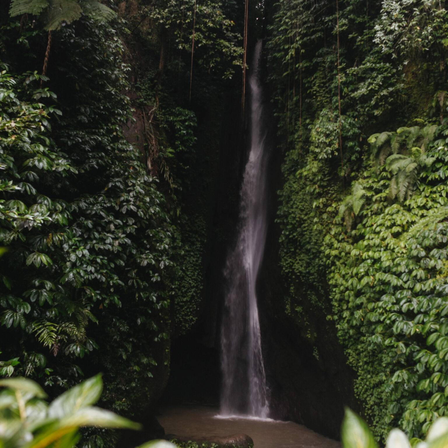 Der Leke Leke Wasserfall in Bali befindet sich mitten im Grünen und endet in einem Wasserbecken.